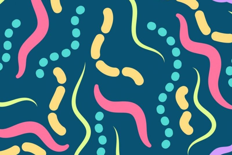 probiotics